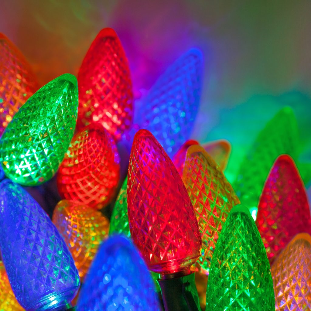 Holiday Pest Control Checklist