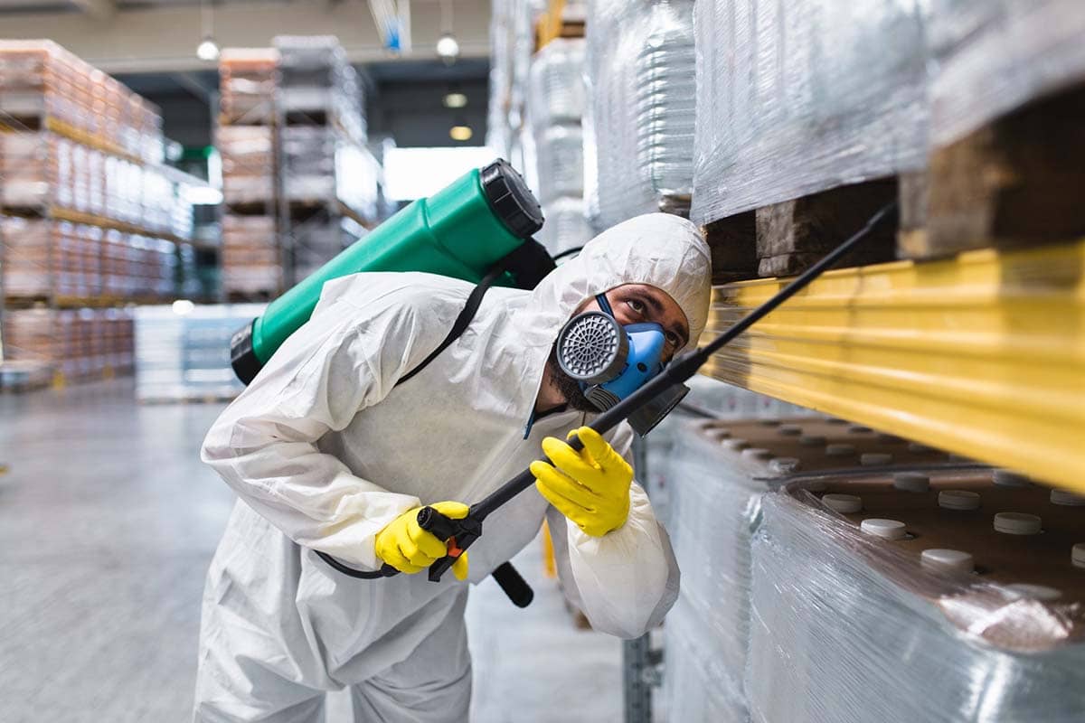 How Does a Fumigation Service for Pest Control Work?