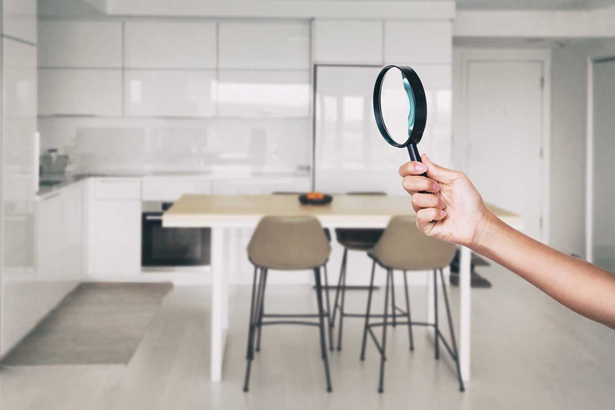 What to Expect From a Termite Inspection