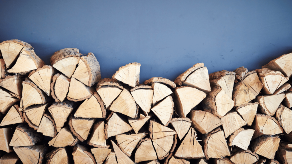 Firewood Pests You Need To Look Out For